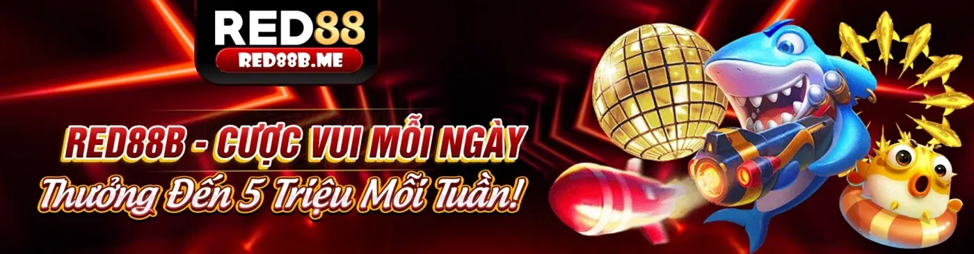 Chính sách Cookie BJJ88 - Bảo mật và minh bạch cho người chơi