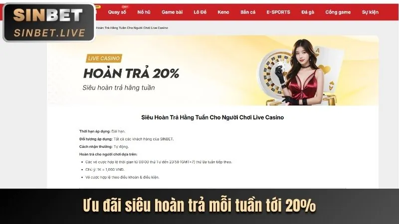 Tính năng thông báo và cập nhật nhanh trên app bjj88